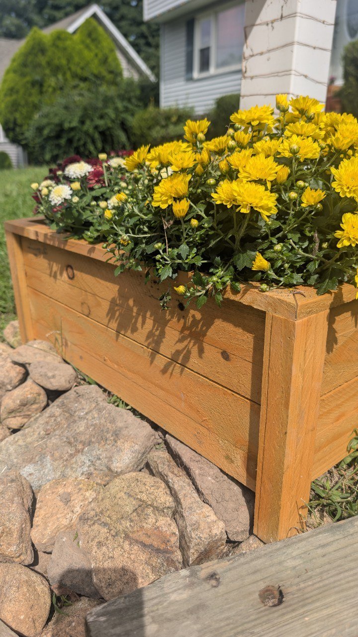 Handmade horizontal-board wooden garden planter filled with vibrant yellow and burgundy mums