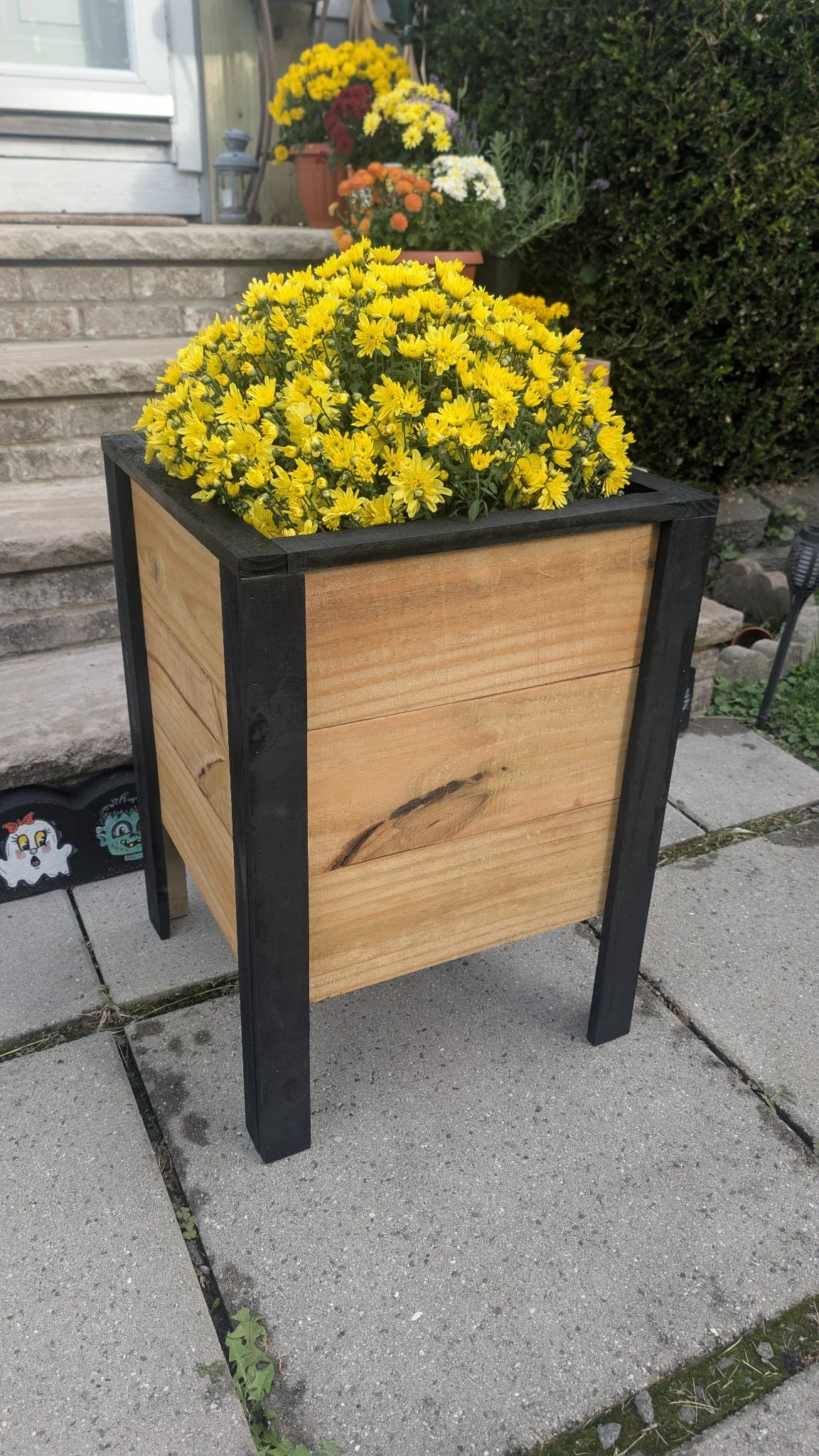 Handmade multi-level wooden planter box with black trim, planted with yellow mums